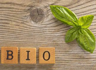 E’ l’anno del cibo italiano, tra export e Bio tutti i successi del Made in Italy