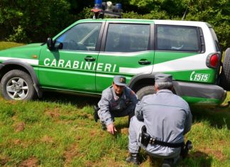 Carabinieri in campo a salvaguardia del patrimonio agroalimentare italiano